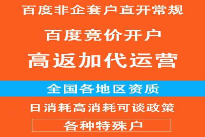 SEM推广策略如何制定——以某电商平台的成功案例为例
